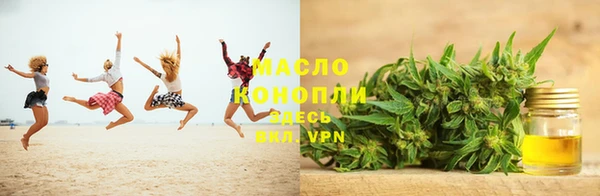 гидра Кулебаки