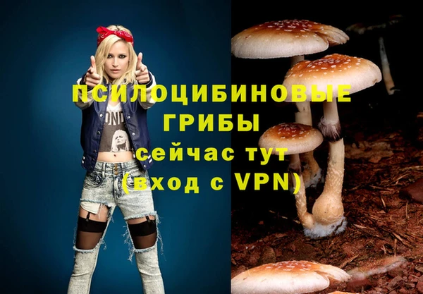 spice Кукмор