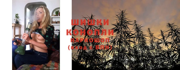 гидра Кулебаки