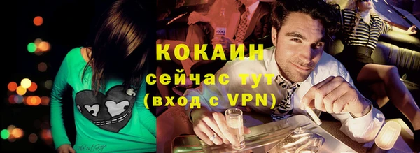 гидра Кулебаки