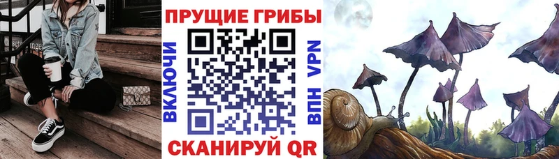 Галлюциногенные грибы MAGIC MUSHROOMS Лыткарино
